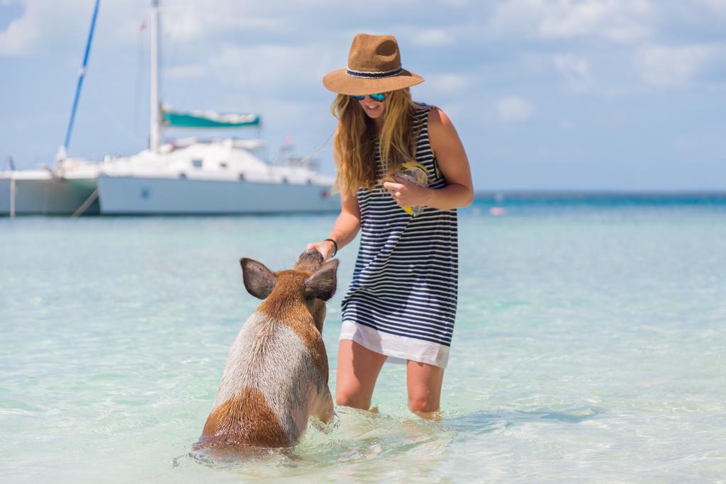 Green Turtle Club Resort & Marina Green Turtle Cay Extérieur photo