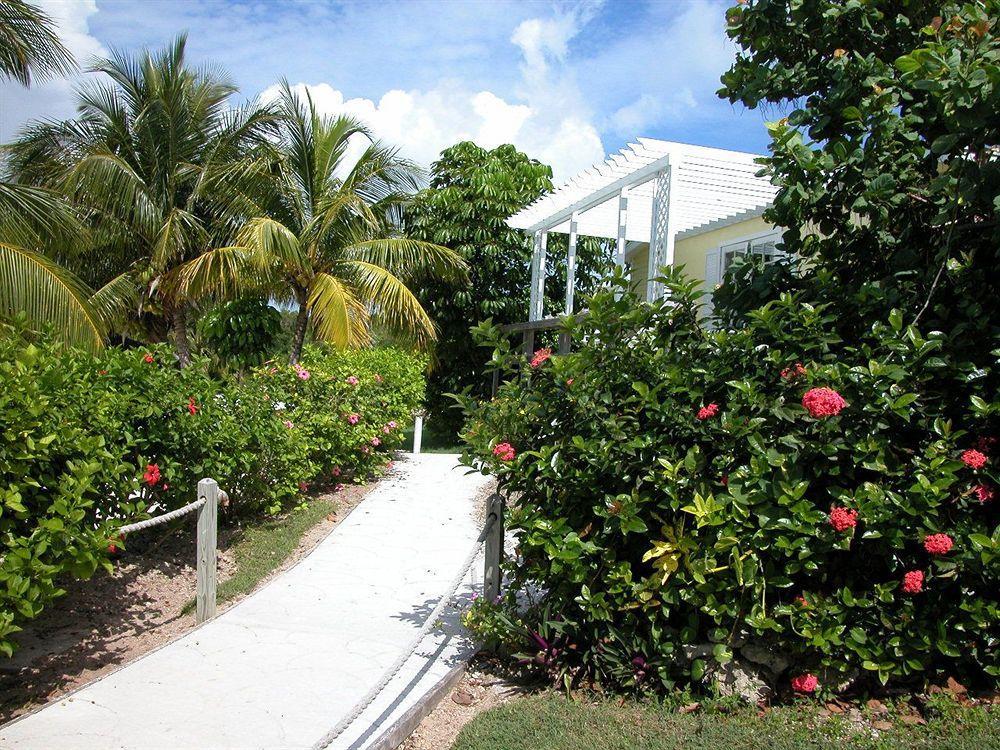 Green Turtle Club Resort & Marina Green Turtle Cay Extérieur photo