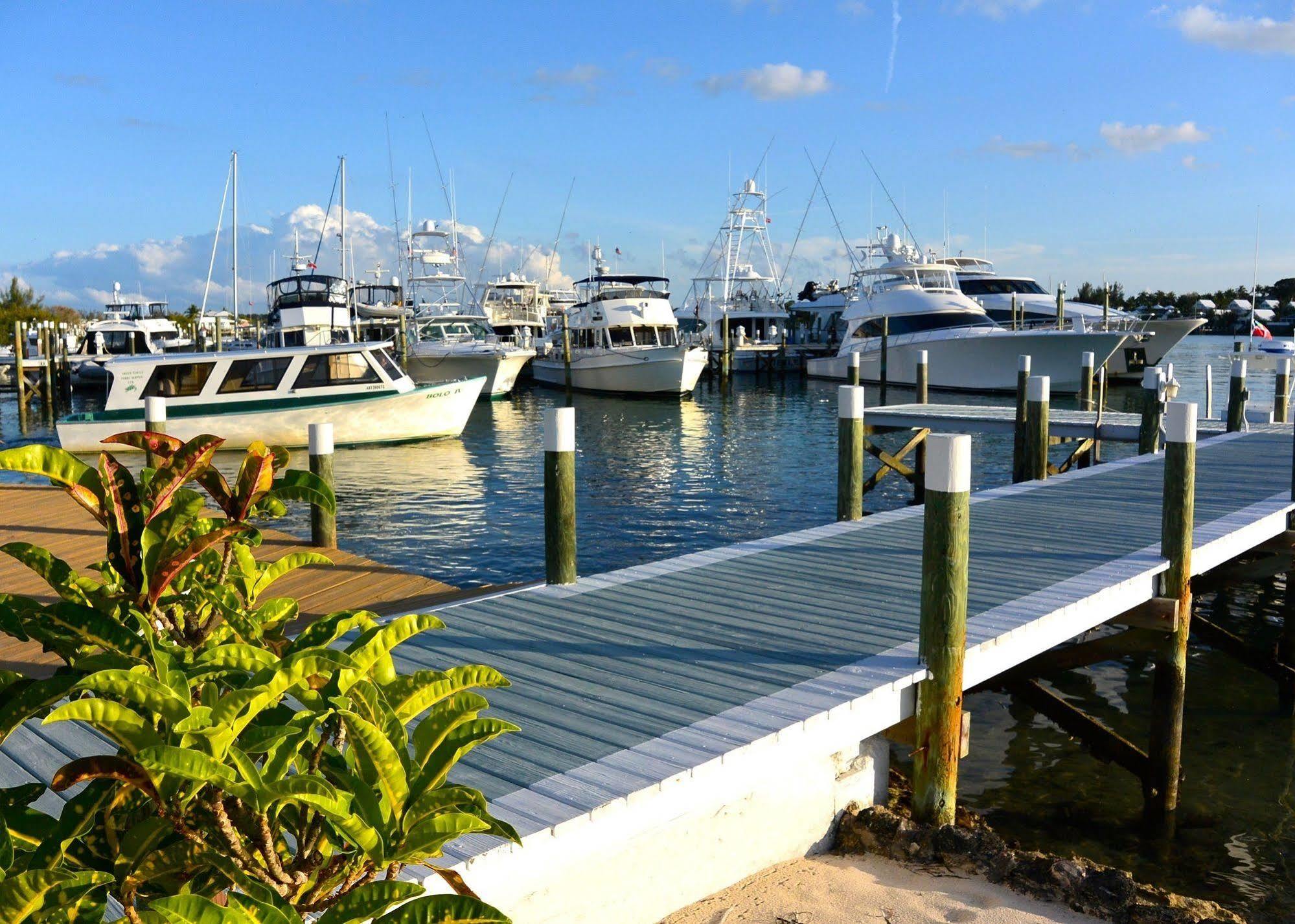 Green Turtle Club Resort & Marina Green Turtle Cay Extérieur photo