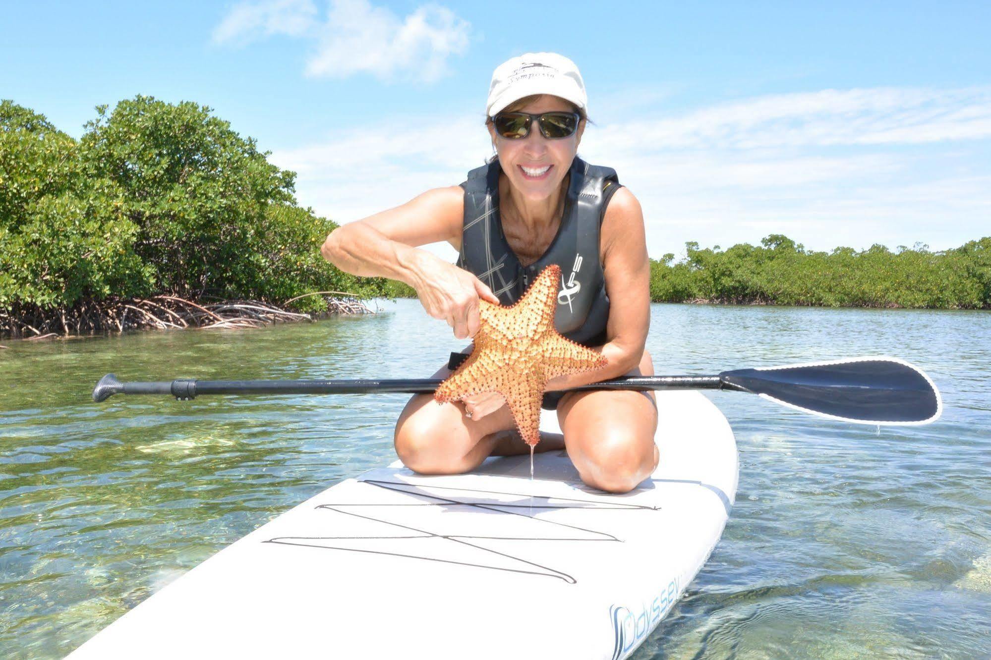 Green Turtle Club Resort & Marina Green Turtle Cay Extérieur photo