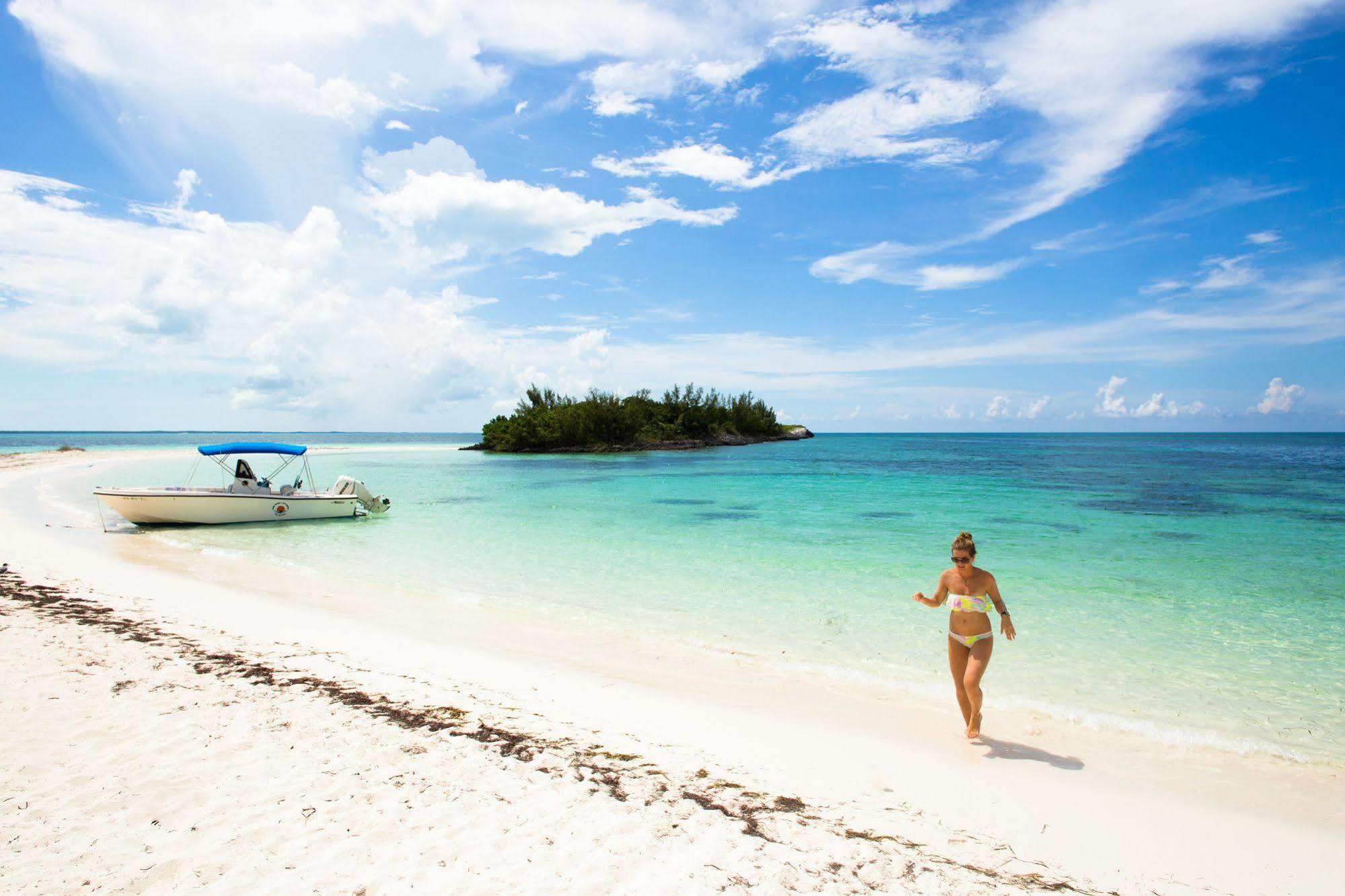 Green Turtle Club Resort & Marina Green Turtle Cay Extérieur photo