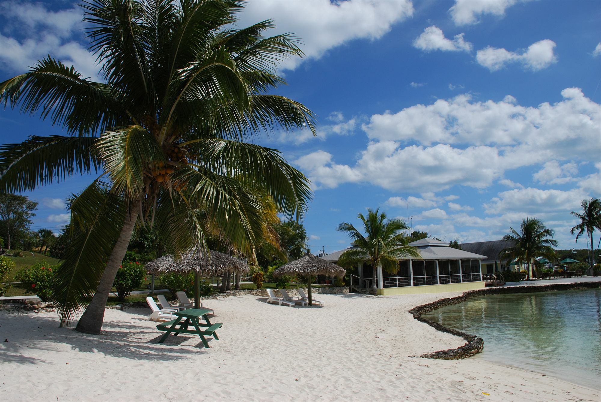 Green Turtle Club Resort & Marina Green Turtle Cay Extérieur photo